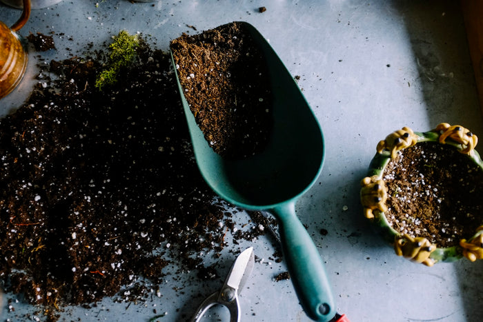Landscapers & Gardeners